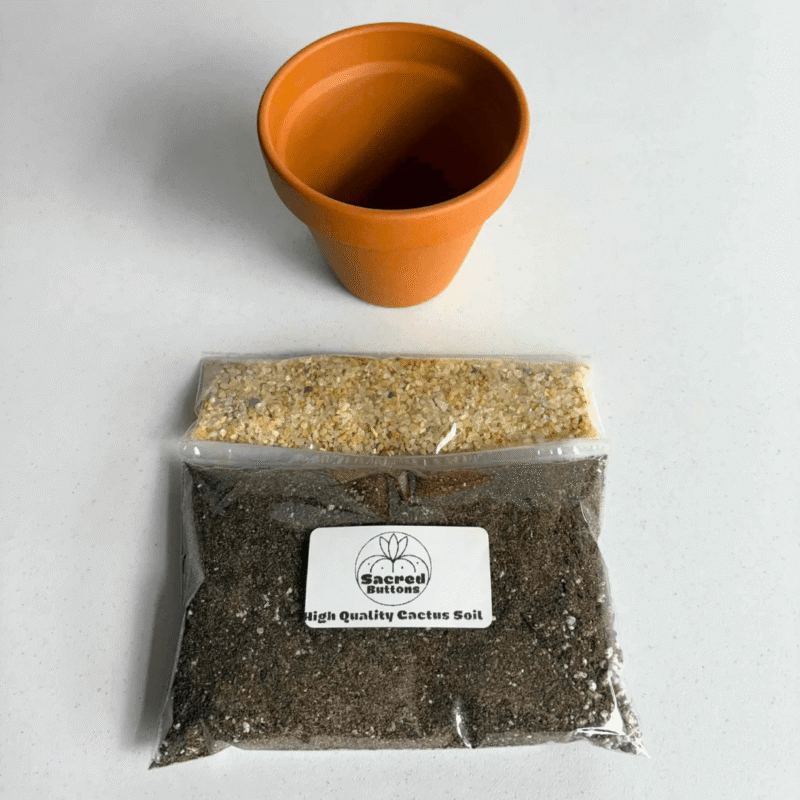 Cactus Potting Kit for Sale 